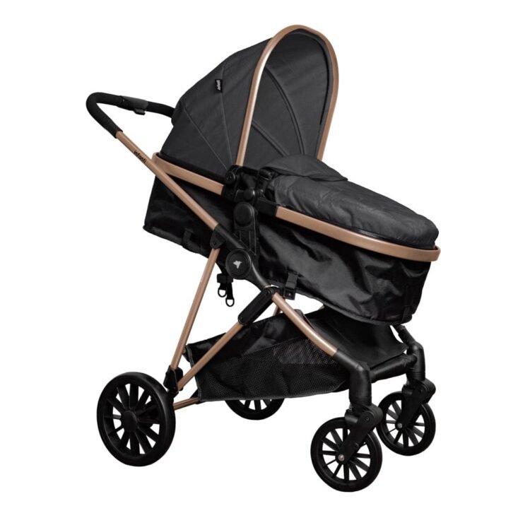Coche de paseo Moisés Padua Infanti (Negro)