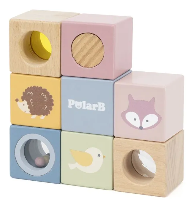 Cubos sensoriales Polar B